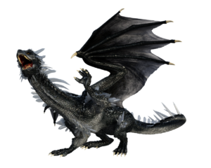 dragon, black dragon, animal-4417509.jpg